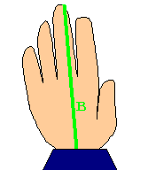 中指の先端から手首までの長さをＢとする。